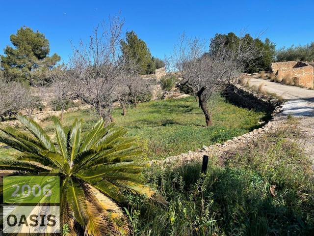 GRAN FINCA RUSTICA 6 HECTAREAS A 900M DE LA PLAYA photo 0