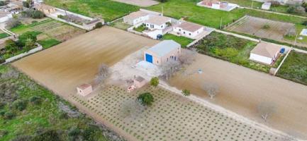 SE VENDE GRAN FINCA DE 10.000M, CON UNA NAVE CONSTRUIDA DE 150M photo 0