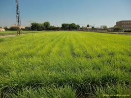 Agrícola En venta en Huerta, Foios photo 0