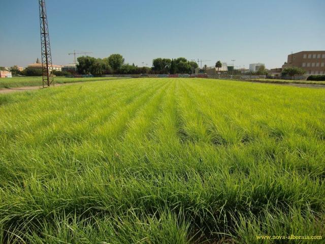 Terreno Urbanizable En venta en Huerta, Foios photo 0