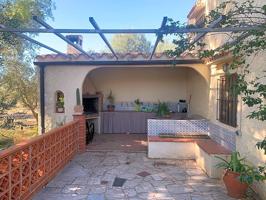 Casa rústica con terreno de cultivo de olivos photo 0