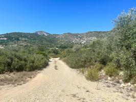 Gran oportunidad en Mas de Barberans: Finca rústica con 40.954 m² y casa de campo para reformar photo 0