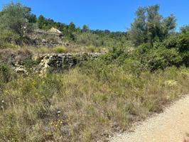 Gran oportunidad en Mas de Barberans: Finca rústica con 40.954 m² y casa de campo para reformar photo 0