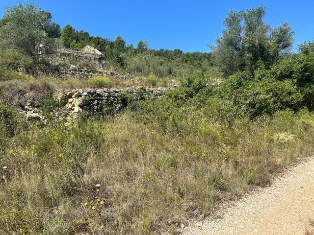 Gran oportunidad en Mas de Barberans: Finca rústica con 40.954 m² y casa de campo para reformar photo 0