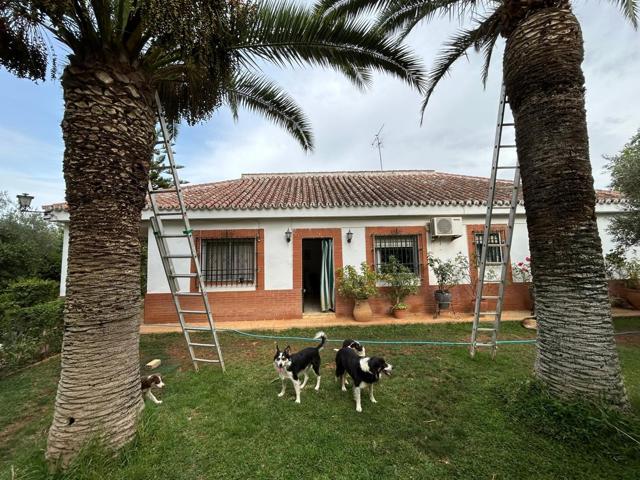 Unifamiliar En venta en Andalucia, Mairena Del Alcor photo 0