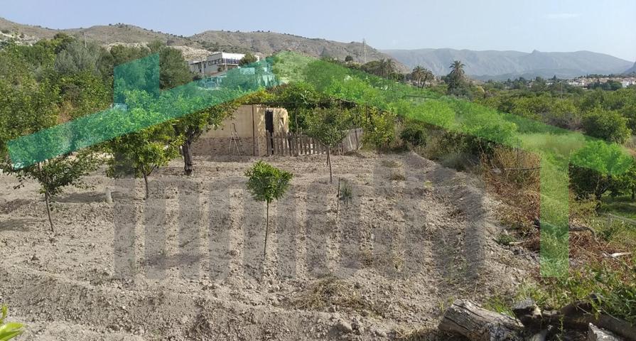 Casa de 11 m2 y terreno de 500 m2, Orcheta, Alicante photo 0