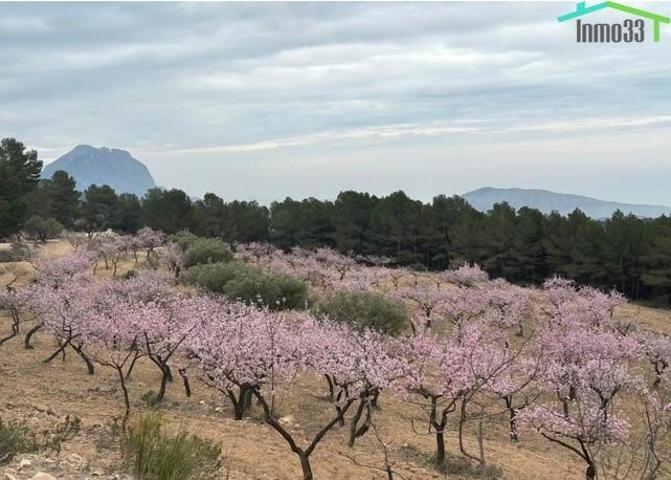 Finca con casa y producción en Relleu, Alicante photo 0