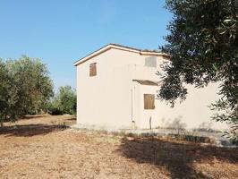 Conjunto residencial de 341m² con 2 Masías de campo con olivos centenarios, con 6 habitaciones, agua y luz solar de 33.588m² en Ulldecona (Tarragona). photo 0