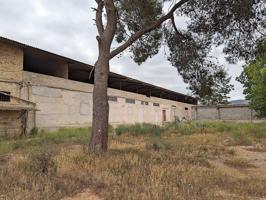 Complejo urbanístico agrícola y ganadero de 2.280m² edificados, en partida La Cogula de Ulldecona (Tarragona). photo 0