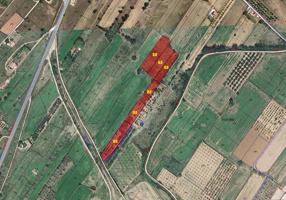 Finca Rústica en venta en Ulldecona de 8580 m2 photo 0
