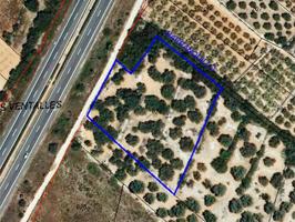 Finca Rústica en venta en Ulldecona de 6793 m2 photo 0