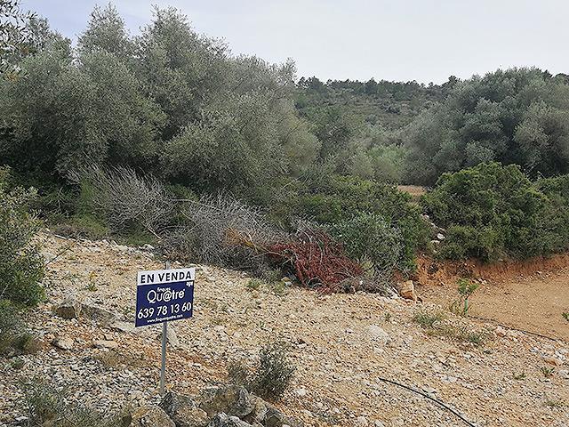 Finca Rústica en venta en Ulldecona de 23094 m2 photo 0