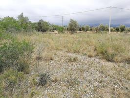 Terreno en venta en Ulldecona de 6290 m2 photo 0