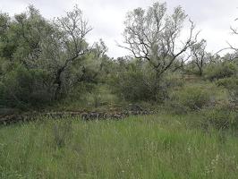 Finca Rústica en venta en La Senia de 7009 m2 photo 0