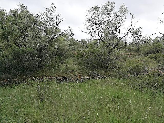 Finca Rústica en venta en La Senia de 7009 m2 photo 0