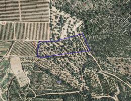 Finca Rústica en venta en Ulldecona de 9675 m2 photo 0