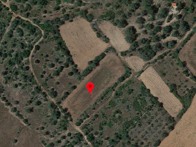 Finca Rústica en venta en Ulldecona de 3349 m2 photo 0