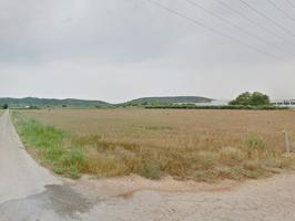 Terreno rustico de regadío de 35.548m² con casa de campo para reformar de 25m² en Partida Les Bassoles de Ulldecona (Tarragona). photo 0