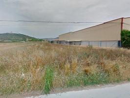 Parcela de terreno urbanizable y de regadío de 3.399m² en Camí de l’Olivar, en Ulldecona (Tarragona) photo 0