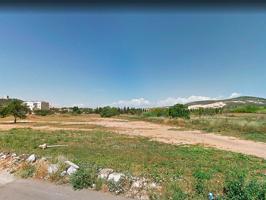 Terreno en venta en Ulldecona de 3553 m2 photo 0