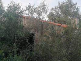 Finca Rústica en venta en Ulldecona de 14453 m2 photo 0