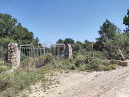Finca rústica de secano de 21.153m² en partida Ametller de Amposta (Tarragona). photo 0