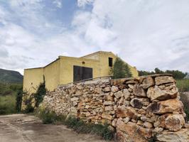 Casa Rustica y finca de olivos arbequina de 68.054m² con pozo de agua en partida Sinyoles de la La Sénia (Tarragona). photo 0