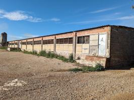 Aumente sus ganancias con nuestra granja de 16.000 pavos en Ulldecona (Tarragona) photo 0