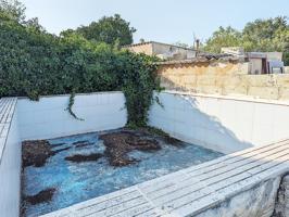 Finca de olivos con balsa en partida Mas de la Rata, de 5.928m², en Ulldecona (Tarragona). photo 0