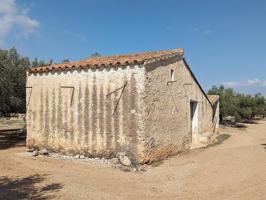 Terreno rústico de secano con caseta, de 75.916m² en Partida Termets de Ulldecona (Tarragona). photo 0