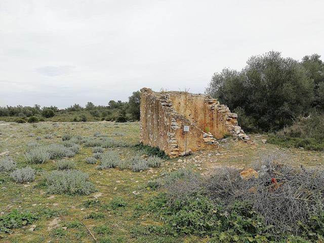 Finca rústica de secano de 18.239m² en Partida Tosses del municipio de Ulldecona (Tarragona). photo 0
