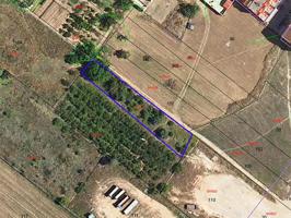 Finca urbana de 914 m² situada en el Camí La Roja, Ulldecona (Tarragona). photo 0