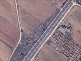 Finca rústica de secano de 512m² en la Partida Llacuna de Ulldecona (Tarragona). photo 0