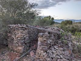 Finca rústica de secano de 9.141m² en Partida Les Moles en Ulldecona (Tarragona). photo 0