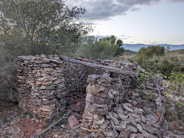 Finca rústica de secano de 9.141m² en Partida Les Moles en Ulldecona (Tarragona). photo 0