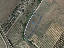 Terreno rústico de secano de 3.285m² en Partida Les Tortes de Ulldecona (Tarragona). photo 0