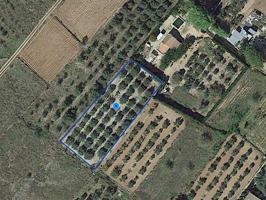 Terreno rústico de secano de 1.849m² en Partida Foietes de Ulldecona (Tarragona). photo 0