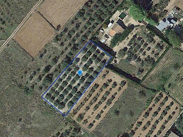 Terreno rústico de secano de 1.849m² en Partida Foietes de Ulldecona (Tarragona). photo 0