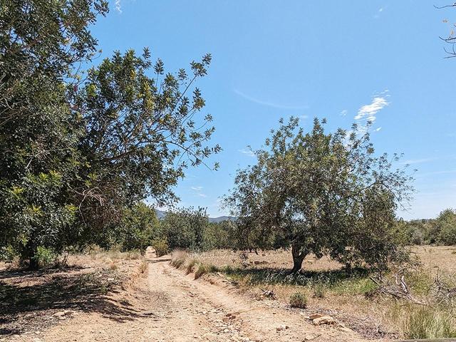 Terreno rústico de secano de 8.039m² en Partida Serra de Godall de Ulldecona (Tarragona). photo 0
