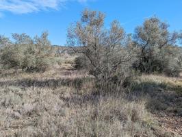 Terreno rústico de secano de 2.378m² en Partida La Cogula de Ulldecona (Tarragona). photo 0