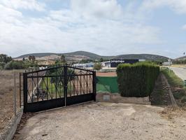 Finca rústica de regadío de 2.103m² en Camí la Roja, con fachada en la misma carretera de Godall (TV-3313) de Ulldecona (Tarragona). photo 0