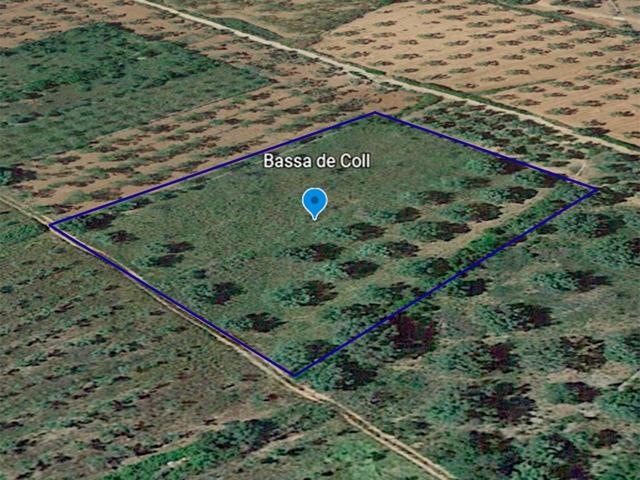 Terreno rústico de secano de 5.546m² en Partida Bassa Coll de Ulldecona (Tarragona). photo 0