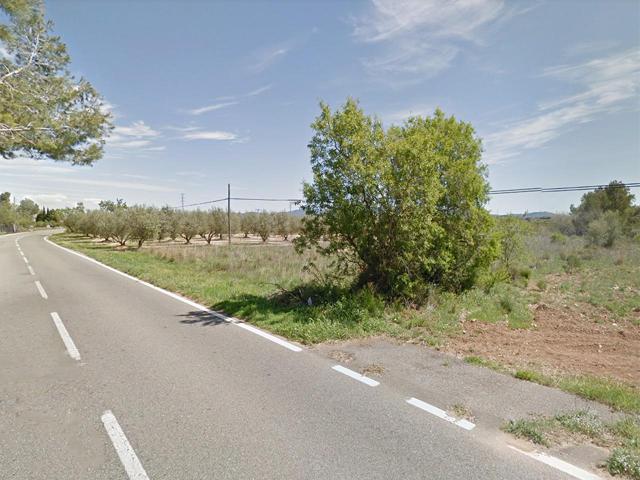 Terreno rustico de regadío de 3.097m² con fachada en carretera de Els Valentins a El Castell -Ulldecona (Tarragona). photo 0