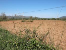 Terreno rustico de secano en zona del Polígono Industrial de Valldepins, con 6.081m² en la partida Les Bassoles de Ulldecona (Tarragona). photo 0