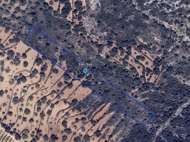 Finca rústica de secano de 8.074 m² ubicada en la partida La Ferradura, en Ulldecona (Tarragona). photo 0