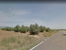 Finca rústica con olivos de 6.965m² en la carretera La Miliana - Ulldecona (Tarragona), fachada en la misma. Buen acceso desde la vía principal. photo 0