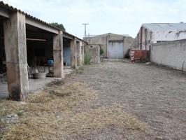 Nave comercial-industrial de 594 m² en Ulldecona, Tarragona photo 0