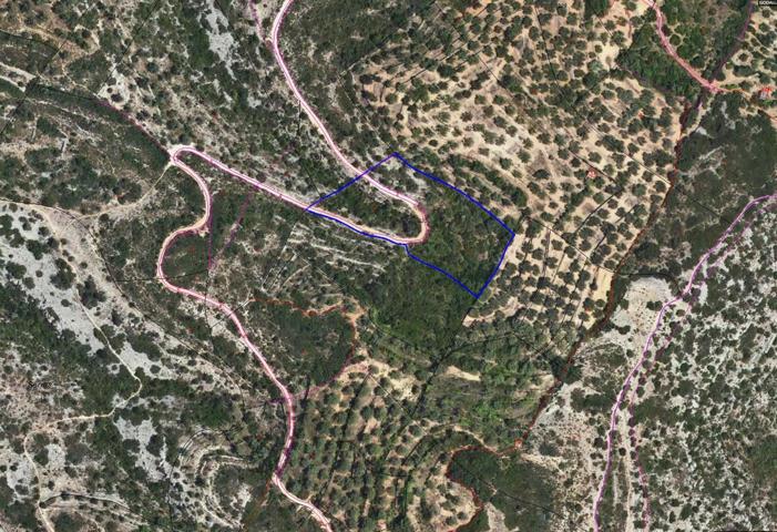 Finca rústica de secano de 5.825 m² ubicada en la Partida Sierras, dentro del término municipal de Godall (Tarragona). photo 0