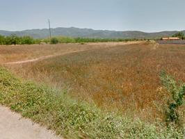 Finca rústica de regadío de 1.439m² en partida La Foia de Ulldecona (Tarragona). photo 0