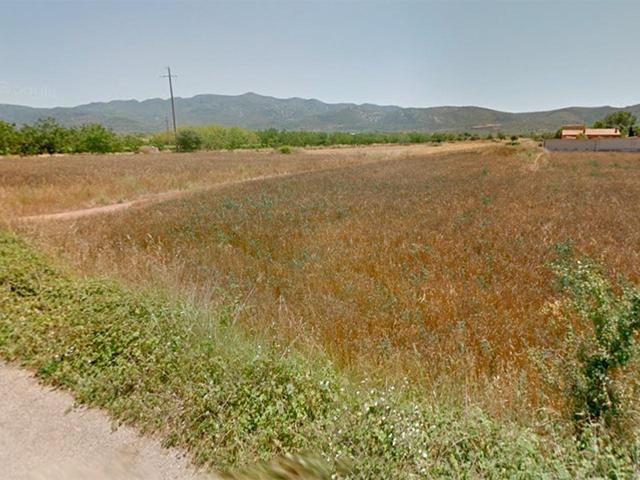 Finca rústica de regadío de 1.439m² en partida La Foia de Ulldecona (Tarragona). photo 0